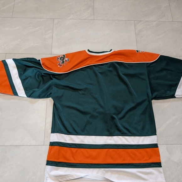 Offical University of Miami licensed - Picture 1 of 2
